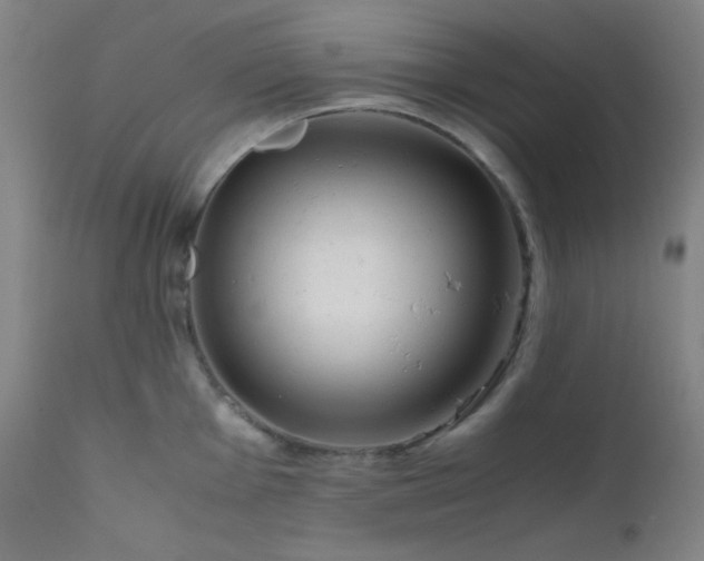 X0000111501001200907141308