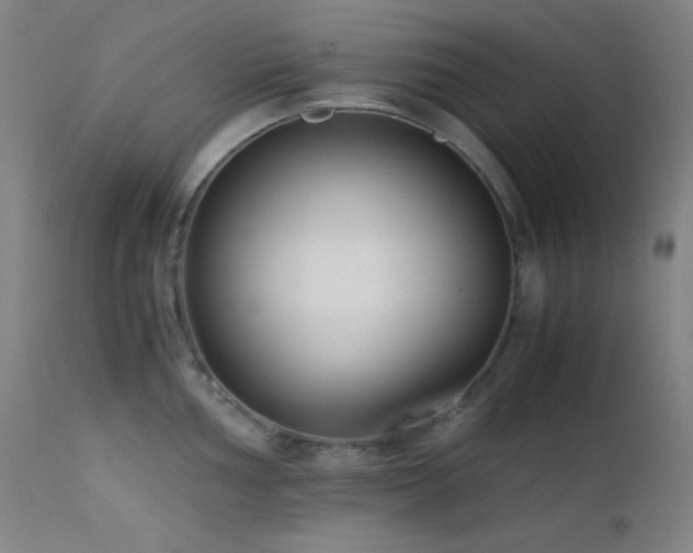 X0000111501002200907141308
