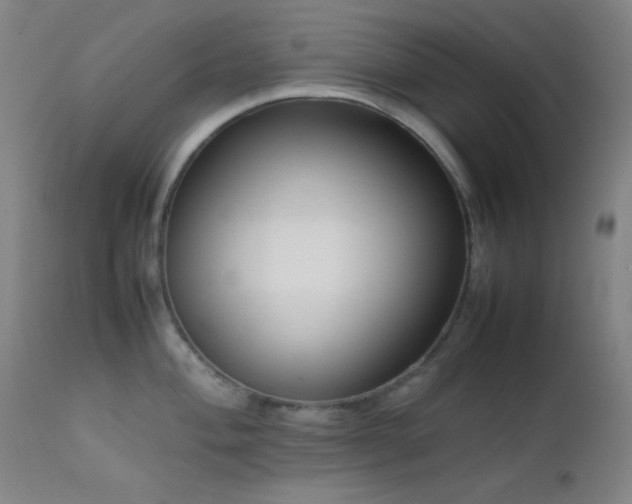 X0000111501004200907141307