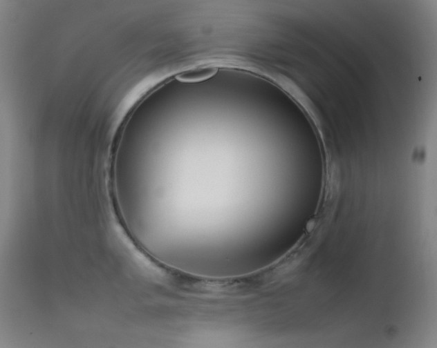 X0000111501005200907141307