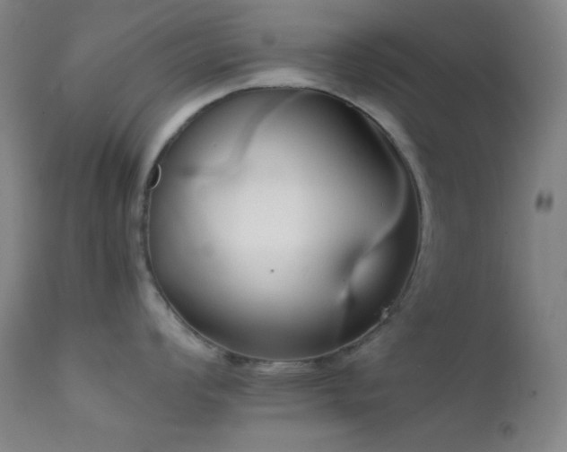 X0000111501008200907141307