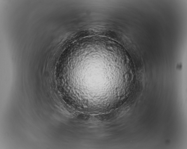 X0000111501009200907141307