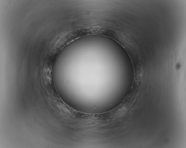 X0000111501010200907141307