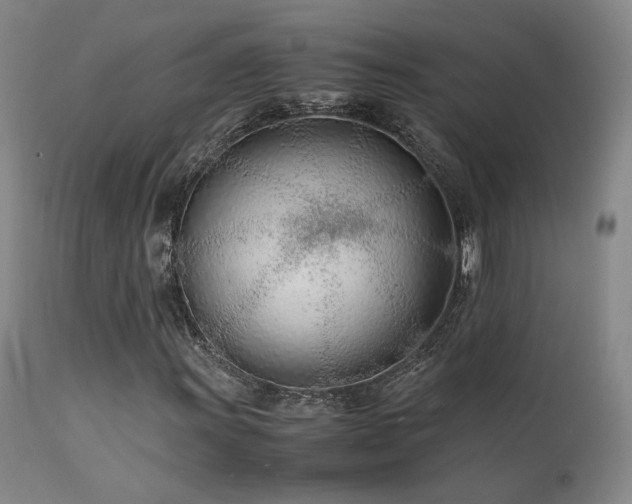 X0000111501011200907141307