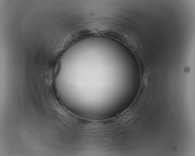 X0000111501012200907141307