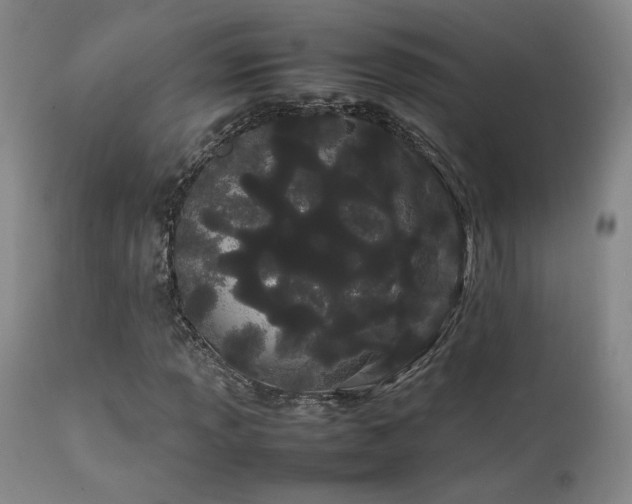X0000111501013200907141307