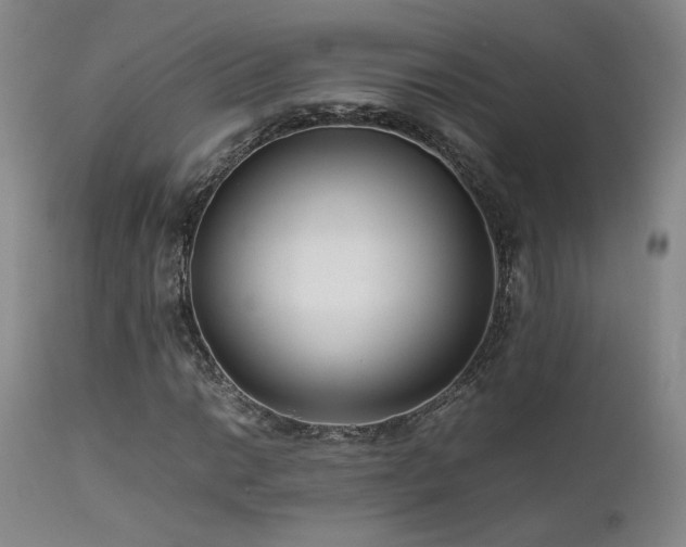 X0000111501014200907141307