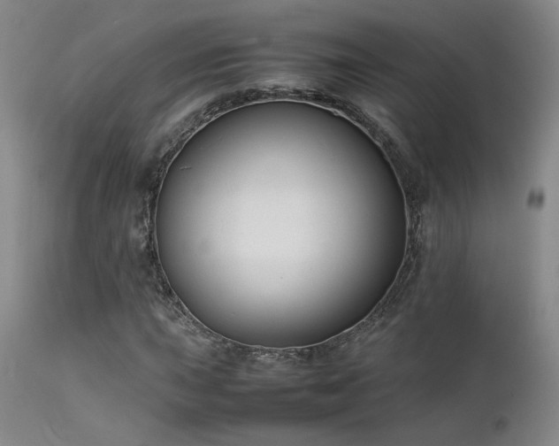 X0000111501015200907141307
