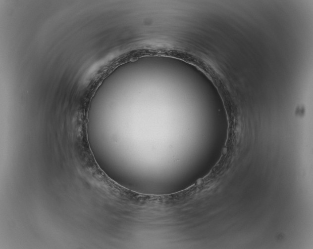 X0000111501016200907141307