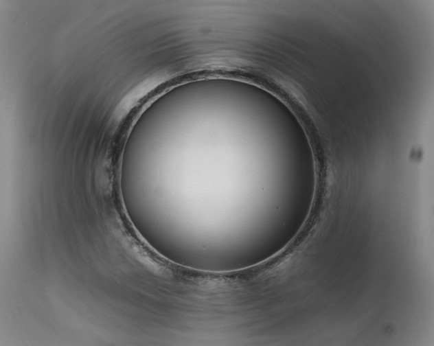 X0000111501018200907141307