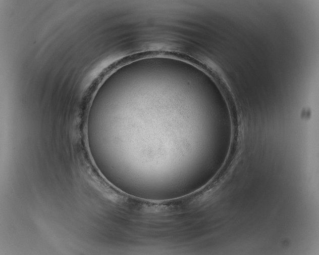 X0000111501019200907141307