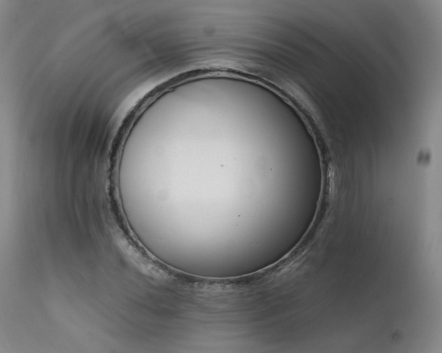 X0000111501020200907141307
