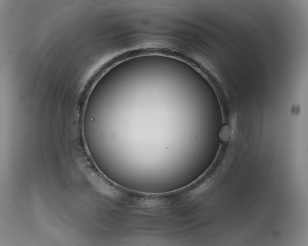 X0000111501021200907141307