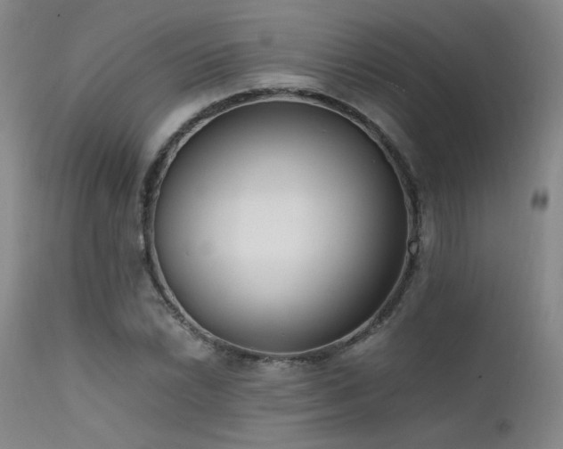 X0000111501022200907141307