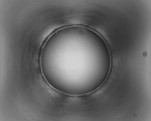 X0000111501023200907141307