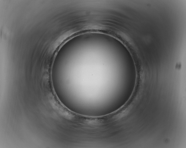 X0000111501025200907141307