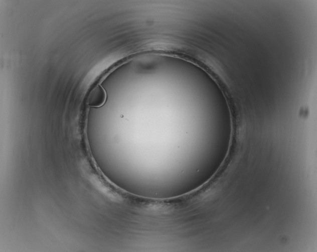 X0000111501026200907141307