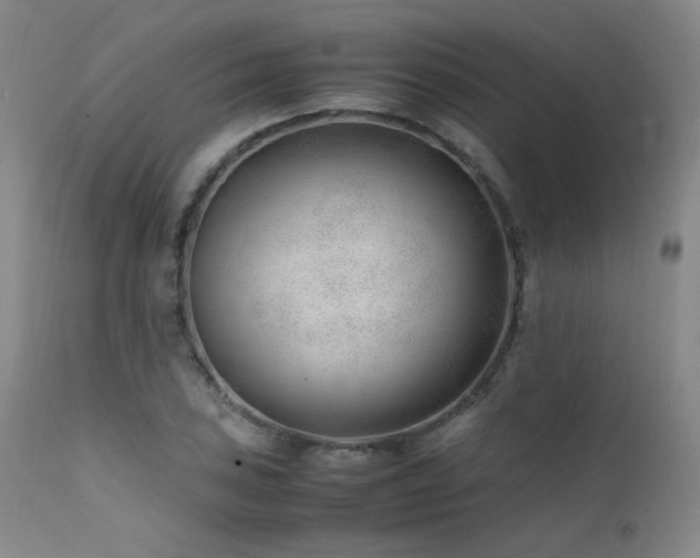 X0000111501027200907141307