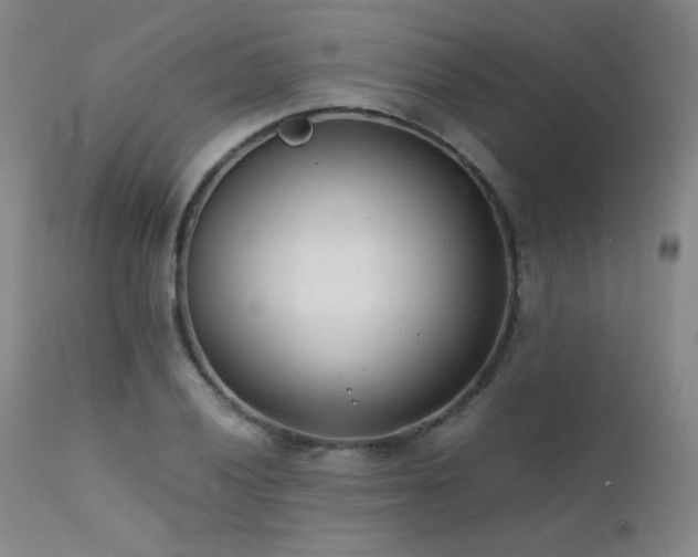 X0000111501028200907141307