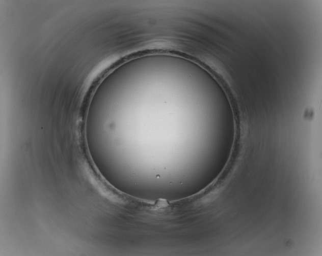 X0000111501029200907141307