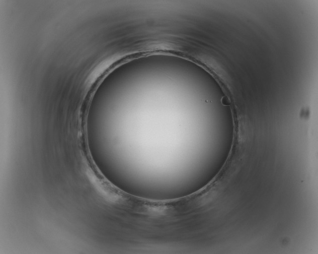 X0000111501031200907141307