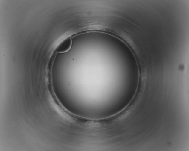 X0000111501034200907141307