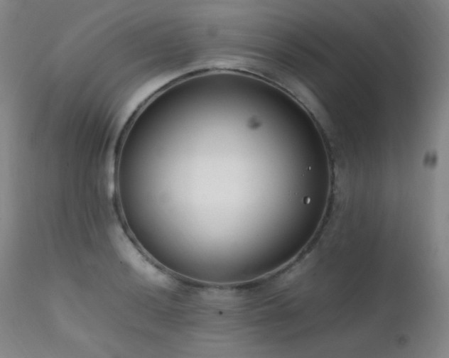 X0000111501036200907141307