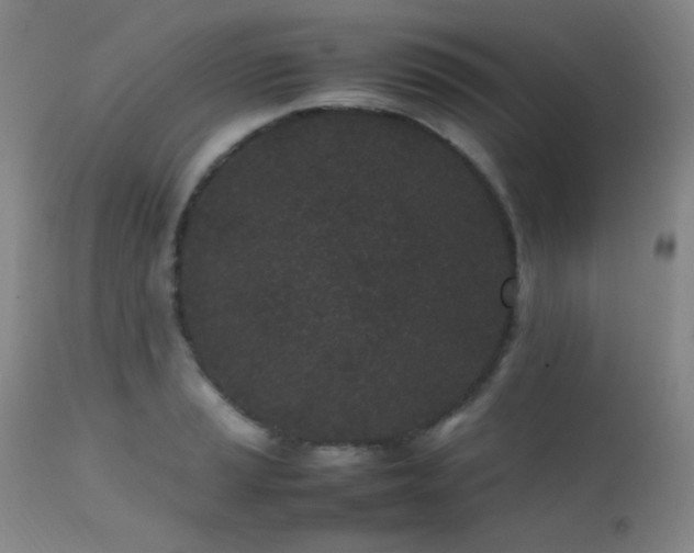 X0000111501037200907141307