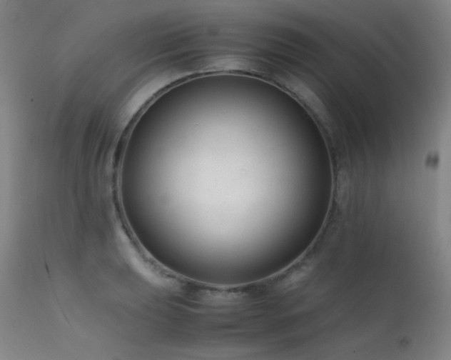 X0000111501039200907141307