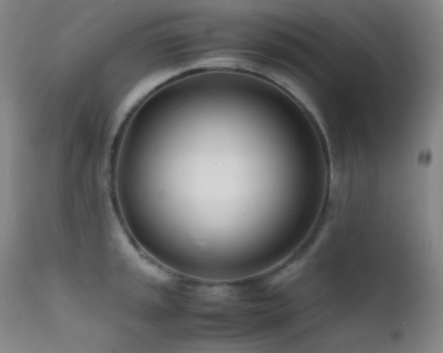 X0000111501045200907141307