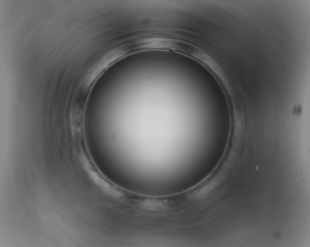 X0000111501049200907141307