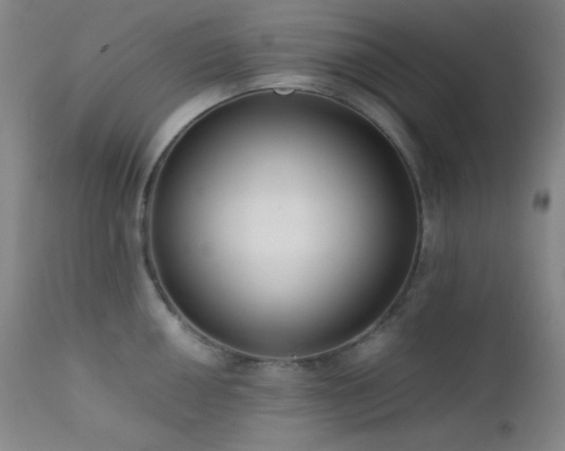 X0000111501050200907141307