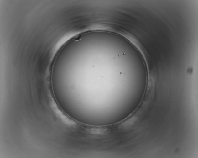 X0000111501053200907141307