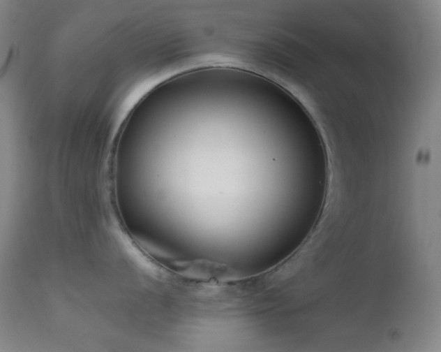 X0000111501056200907141307