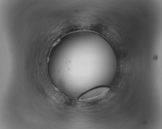 X0000111501057200907141307