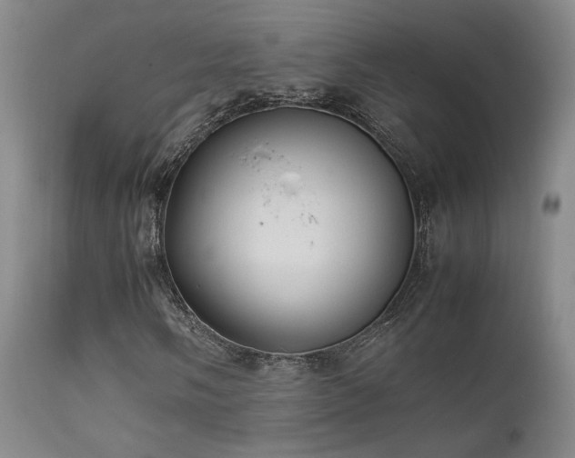 X0000111501058200907141307