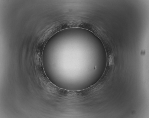 X0000111501059200907141307