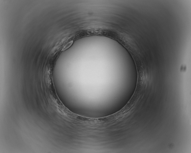 X0000111501060200907141307