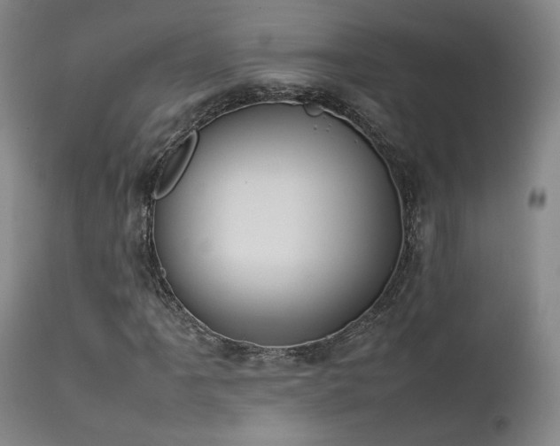 X0000111501061200907141307