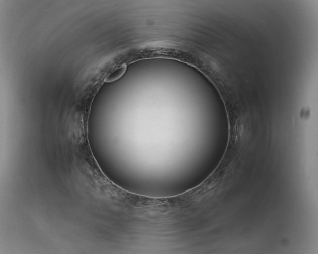X0000111501062200907141307