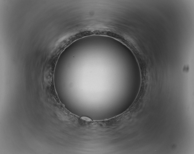 X0000111501063200907141307