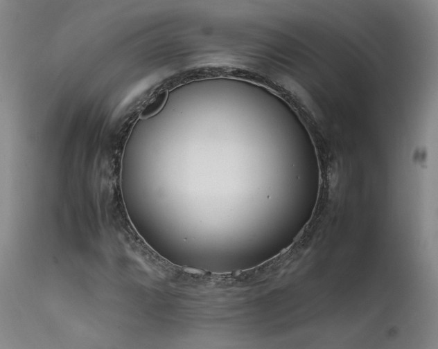 X0000111501064200907141307