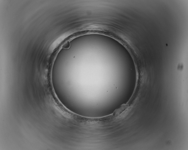 X0000111501066200907141307
