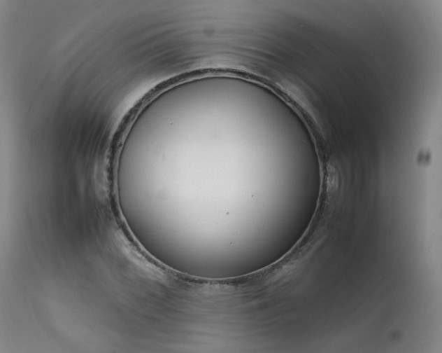 X0000111501068200907141307