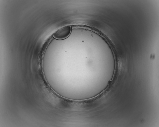 X0000111501069200907141307