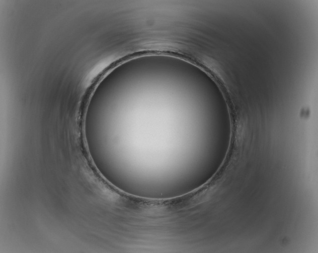 X0000111501071200907141307
