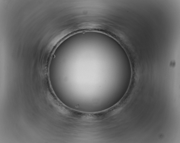 X0000111501073200907141307