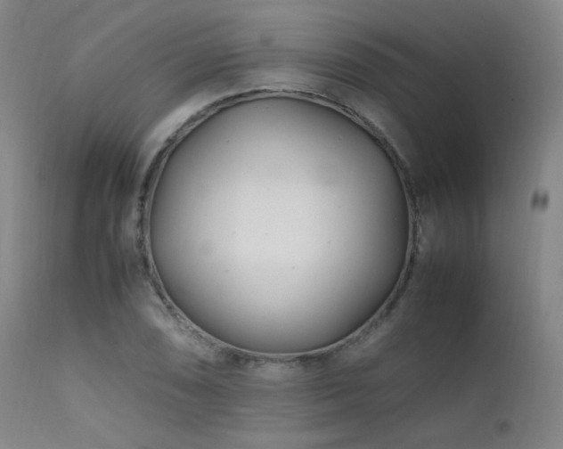 X0000111501074200907141307