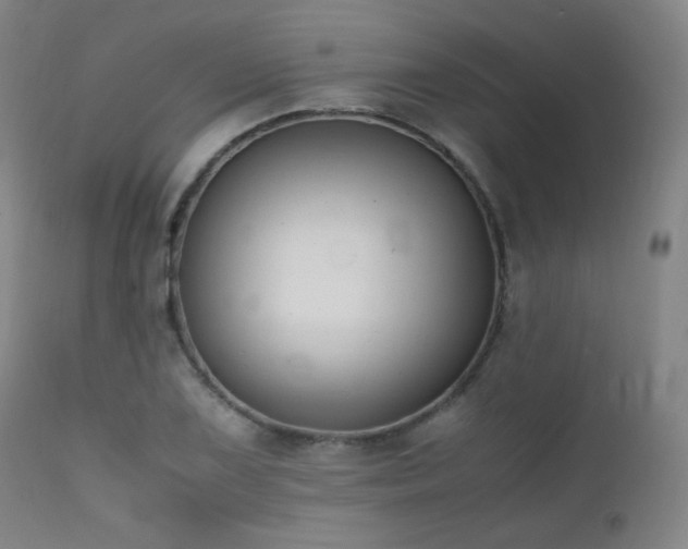 X0000111501075200907141306