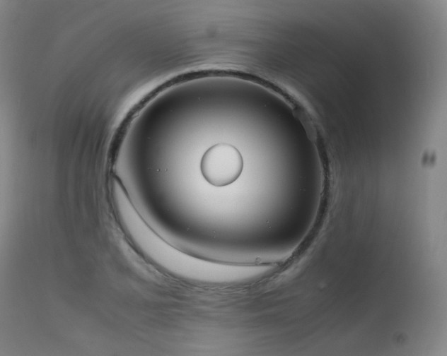 X0000111501077200907141306